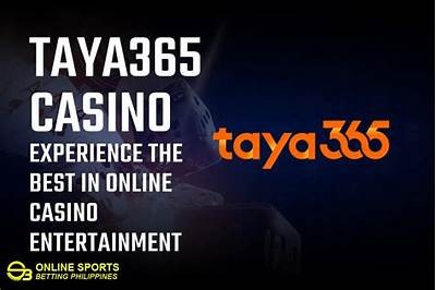 Comprehensive Review of the WillBet App: Features, Benefits, and User Experience Explained