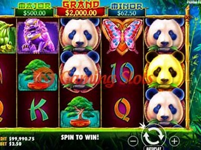 Explore the Exciting Features and Gameplay of Panda Slot Demo Today