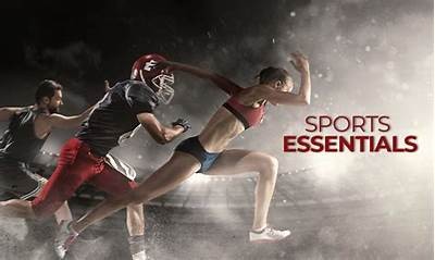 Find the Best Fanatics Store Locations Near You for All Your Sports Merchandise Needs