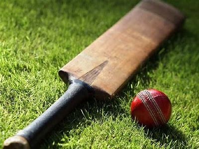 Exploring Willbet Cricket: A Comprehensive Guide to Betting on Cricket Matches