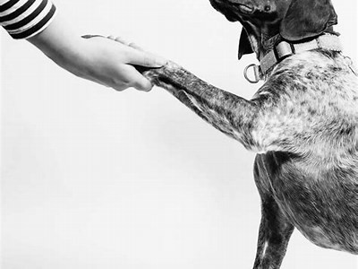 E-fit 100-2: An In-Depth Review of Features, Performance, and User Experience