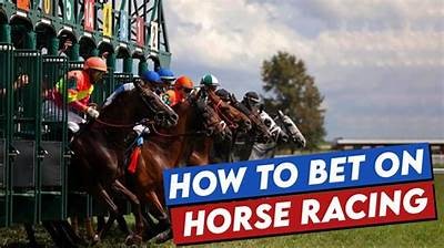 Place Your Bets: A Comprehensive Guide to Betting Options