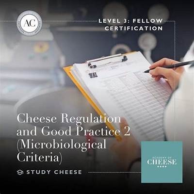 Comprehensive Guide to the Rules of the Get the Cheese Game for Players