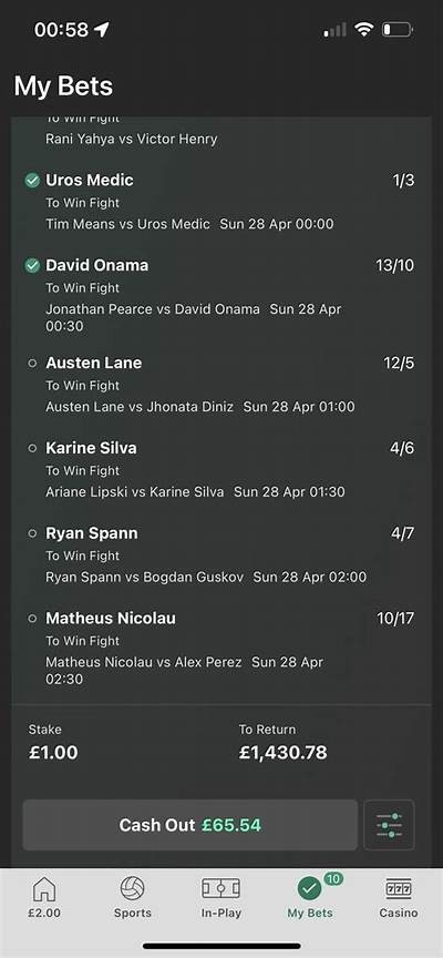 Explore the Exciting World of MMA Betting at Top Casinos for Unmatched Thrills