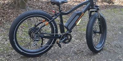 Fully Refurbished E-Bike for Sale: Top Quality at an Affordable Price