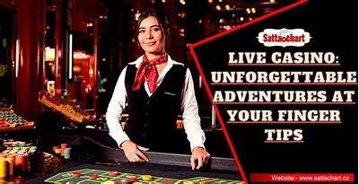 Explore the Exciting World of GoinBet Casino for Unforgettable Gaming Adventures