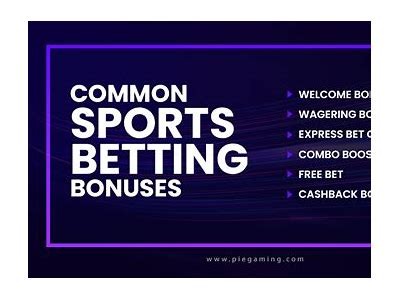 Comparing Sports Betting Bonus Offers from Different Providers for Maximum Value