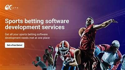 Hire Experienced Betting Software Developers for Innovative Solutions in the Gaming Industry
